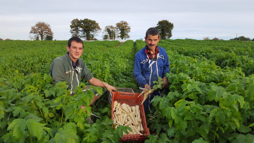 Bon d'ici - BERNARDEAU Sainte Luce sur Loire 44980